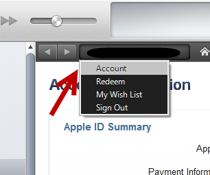 access account information in iTunes