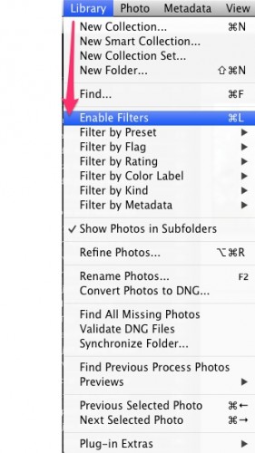 LR Enable Filters