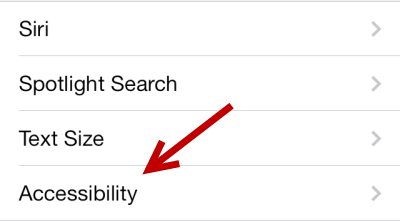 iOS Accessibility settings