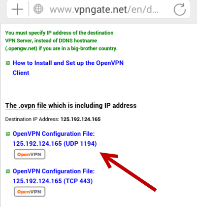 download OpenVPN config file