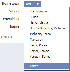 add custom Facebook search filter