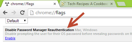 Google Chrome Password protector