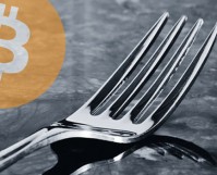 cryptocurrency fork logo