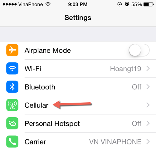 iOS Cellular Setting