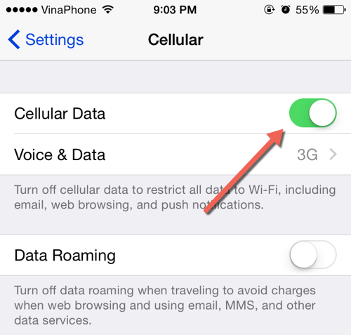 iOS Cellular Data Setting