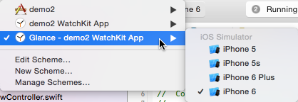 WatchKit app Glance scheme