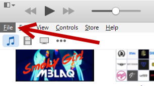 iTunes hidden menu