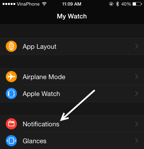 Apple Watch notification setting