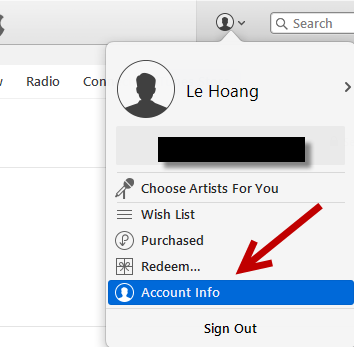 view iTunes account info