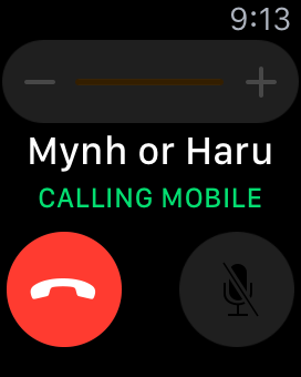 make a call on Apple Watch