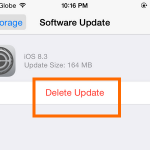 iPhone – Settings – General – Usage – Delete Update