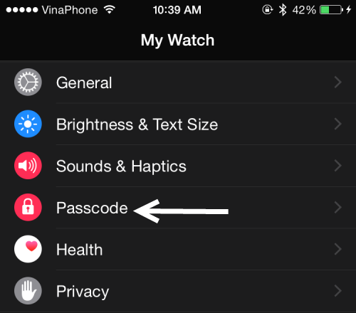 Apple Watch Passcode