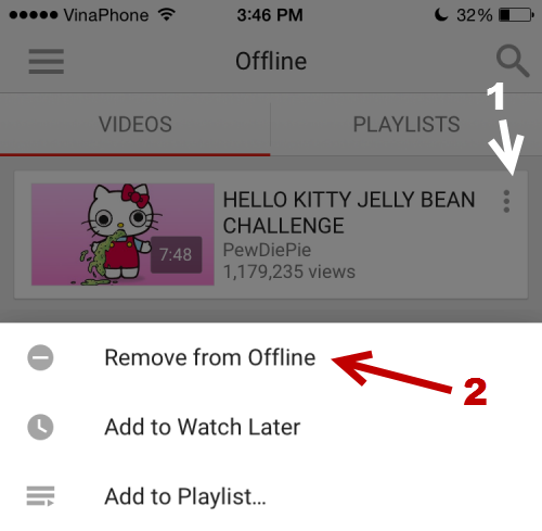 delete offline videos