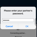 Enter Teamviewer password