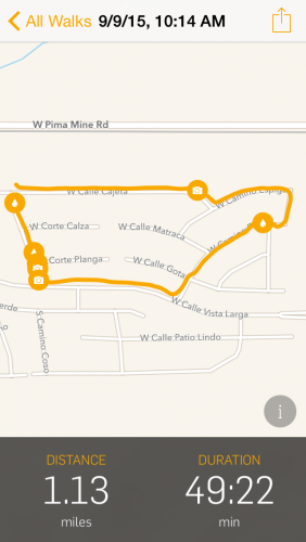 GPS Tracking Dog Walk App