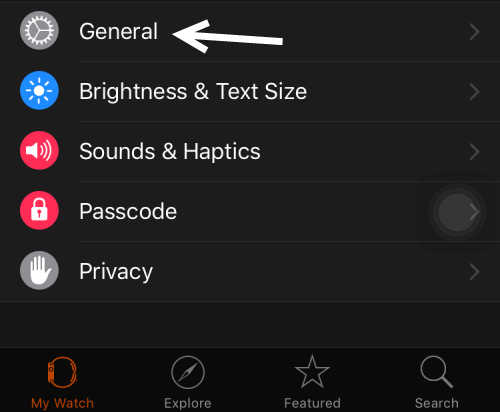 Apple Watch General Settings