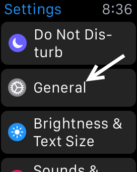 Apple Watch General Settings