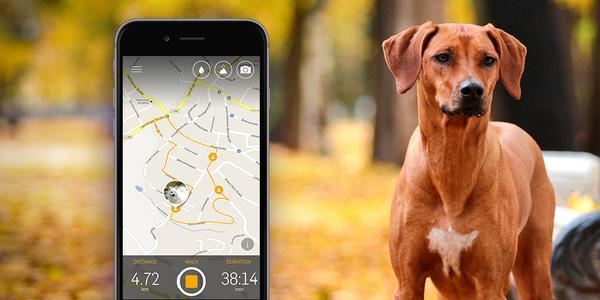 Tractive GPS Dog Walk App