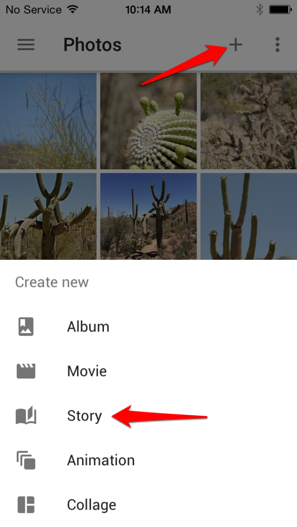 How to Create a Google Photos Story