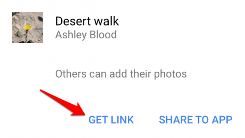 Google Photos Shared Album Get Link