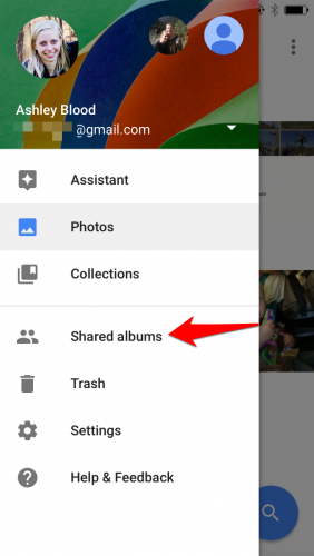 Google Photos view shared albums