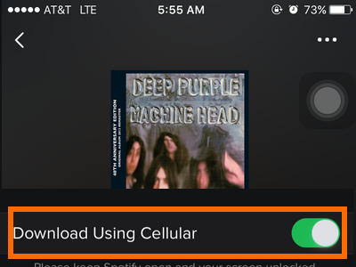 How Do I Download Over a Cellular Connection on Spotify?