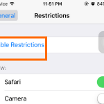 iPhone – Settings – General – Disable Restriction
