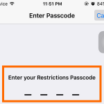 iPhone – Settings – General – Restriction Code