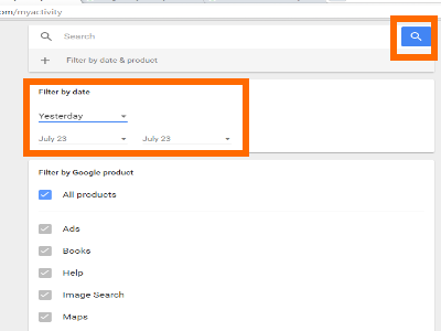 Google Activity Display Filter By Date Search