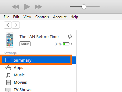 itunes-iphone-icon-summary-under-settings