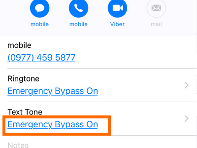iphone-emergency-bypass-text-enabled
