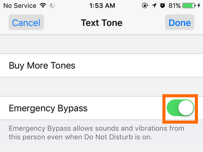 iphone-emergency-bypass-text-switch