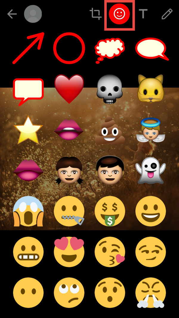 how to add emoji in whatsapp iphone