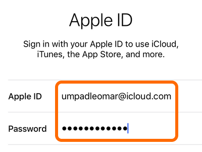 Enter Apple ID Username and Password