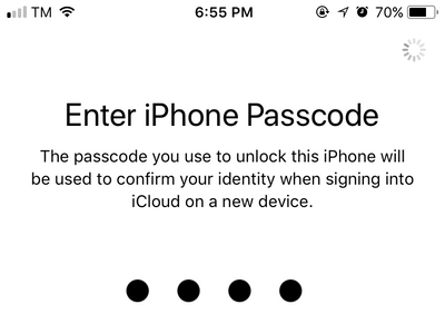 Enter iPhone Passcode