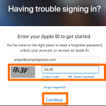 iCloud – Enter Apple ID Verificatin Code and Continue Button