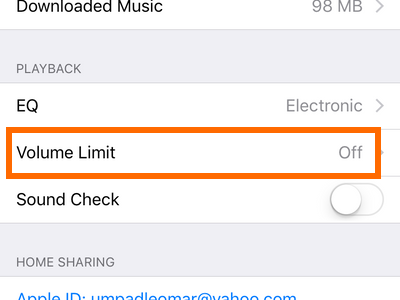 iPhone Settings Volume Limit