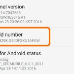 Android Home Settings Build Number