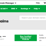 Domain Manager GoDaddy
