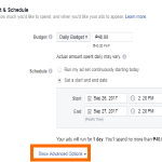 Facebook Create Ad Choose Budget Schedule Show Advanced Option