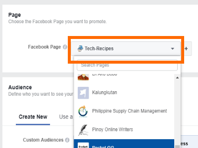 Facebook Create Ad Choose PAge