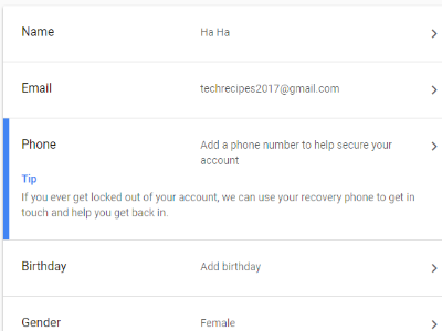 Google Account Personal Details - Basic