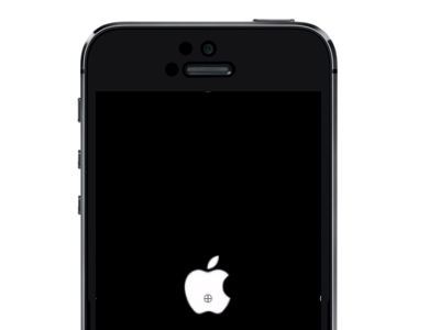 iPhone 5 Apple Logo