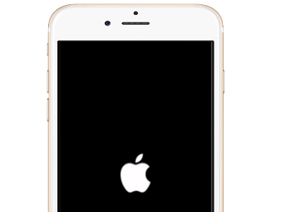 iPhone 6 Apple Logo