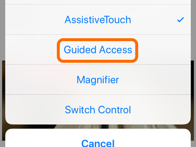 iPhone Accessibility Guided Access