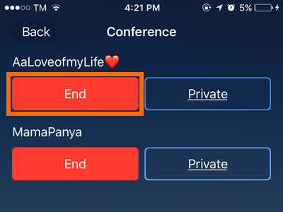 iPhone Conference Call other Info Button End Button