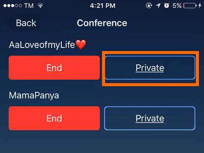 iPhone Conference Call other Info Button Private Button