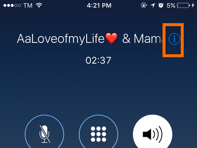 iPhone Conference Call other Info Button