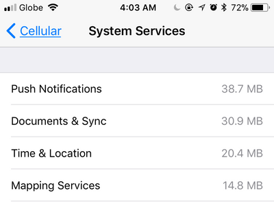 iPhone Settings Cellular System Services