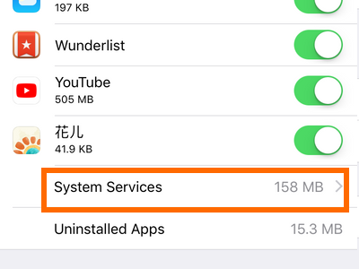 iPhone Settings Cellular System Services